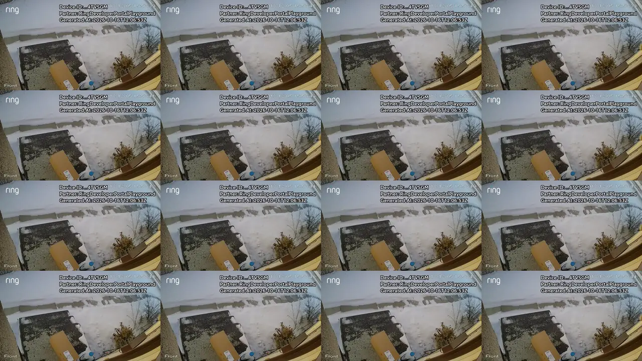 The 16 frames Claude read from Playground recording 19: box seen on the steps and the porch, in time order, left to right and top to bottom, from 0.99 s to 30.71 s